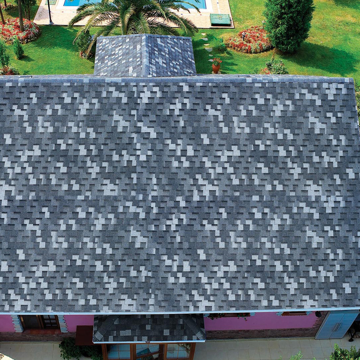 BTM Dragon Shingle
